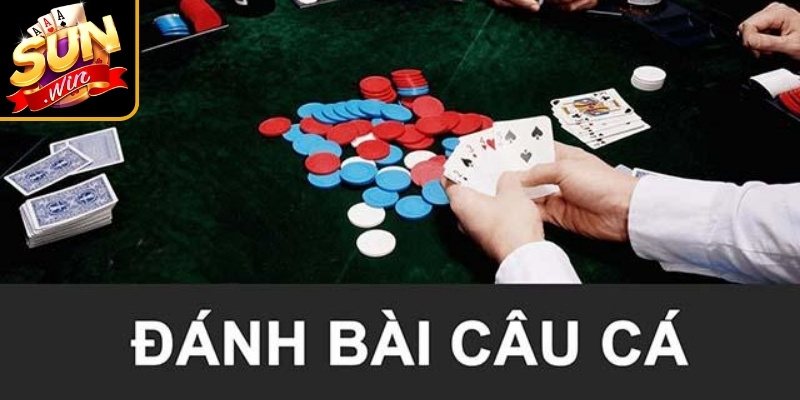 Cách chơi bài câu cá Sunwin qua quy tắc đặt cược