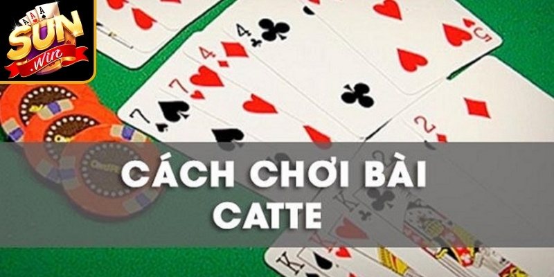 Giới thiệu về bài Catte Sunwin